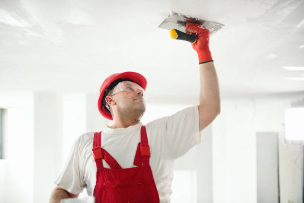 Wallpaper Removal and Painting in Del Aire, CA